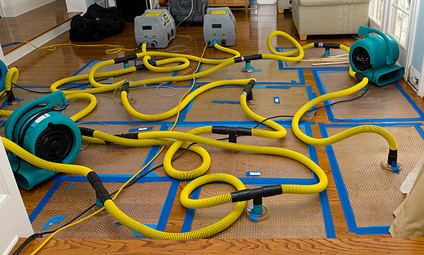 Professional Water Extraction technician working in Veradale, WA